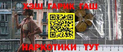 гидра Ставрополь