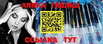 гидра Ставрополь