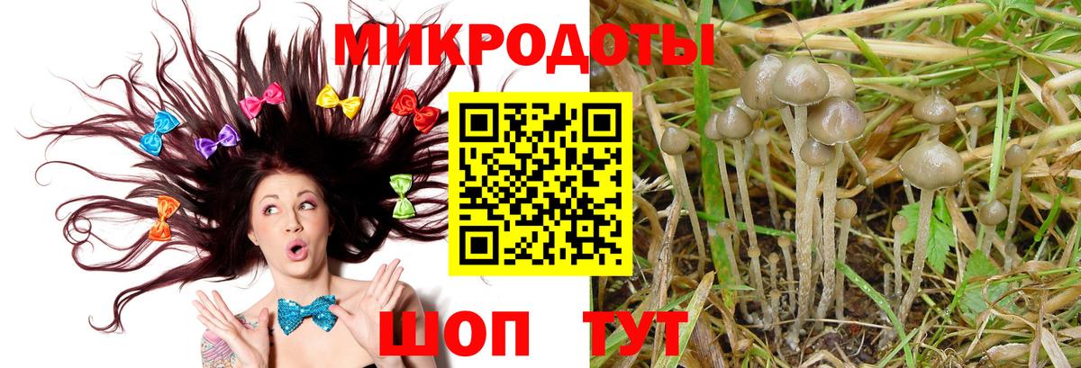 Галлюциногенные грибы прущие грибы  Вход с VPN  Мыски 